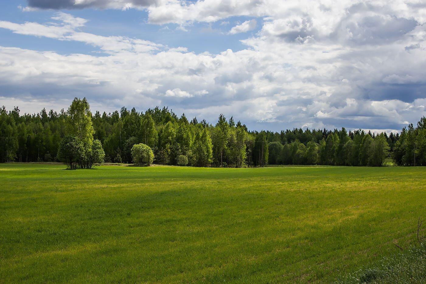 Продажа дач в Москве